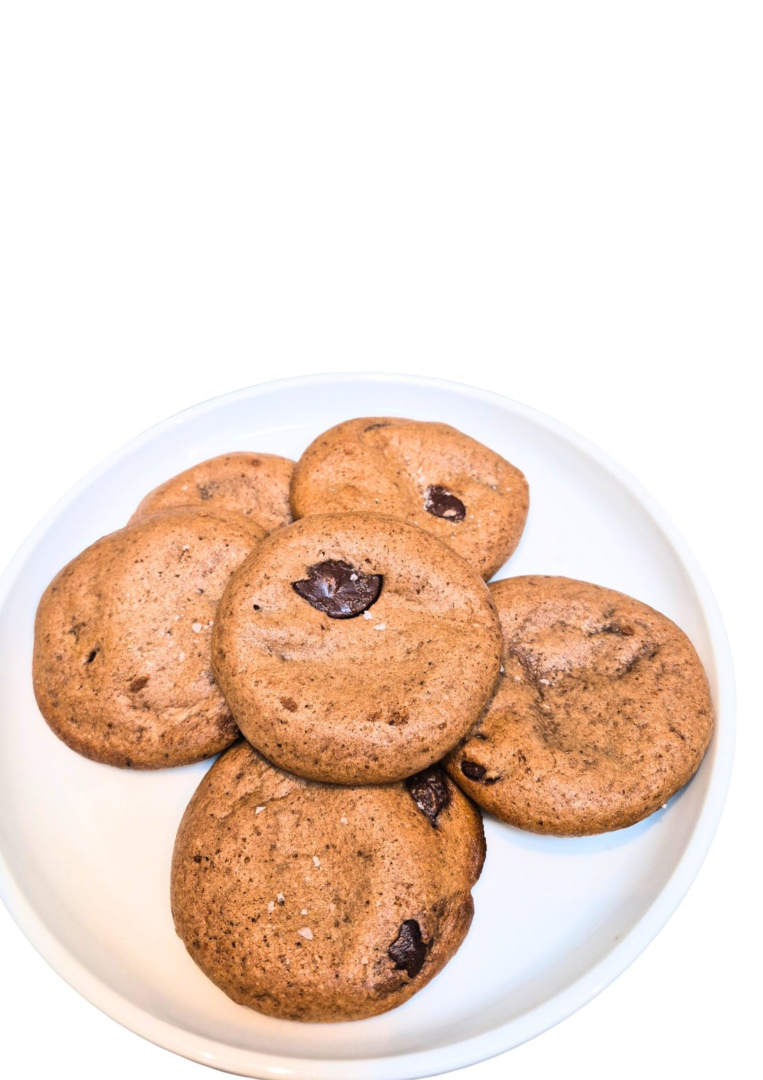 Sourdough Protein Cookie (Box of 3 - Palm Size)